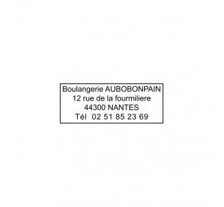 Empreinte caoutchouc pour tampon 4912