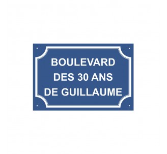 Plaque de rue humoristique en alu " Boulevard des 30 ans de ... "