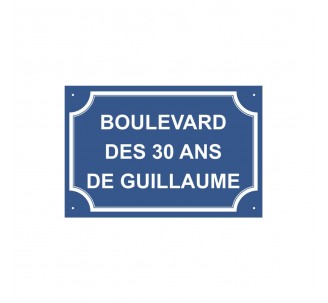 Plaque de rue humoristique en alu " Boulevard des 30 ans de Guillaume "