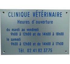 Plaque professionnelle gravée en alu argent, texte bleu